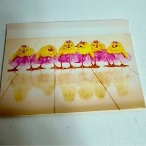 4 Avanti Greeting cards - baby chicks in tutus
Holiday: Easter